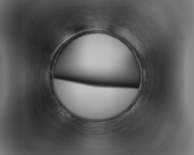 X0000088191260200705150952