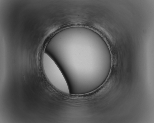 X0000088191261200705150952