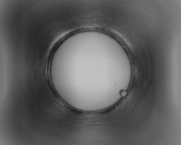 X0000088191262200705150952