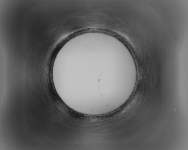 X0000088191263200705150952