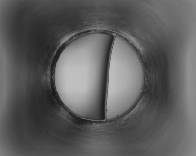 X0000088191264200705150952