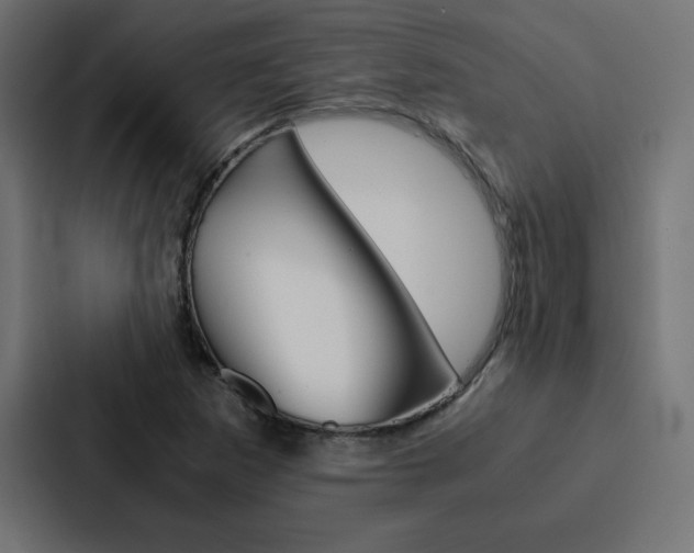 X0000088191265200705150952