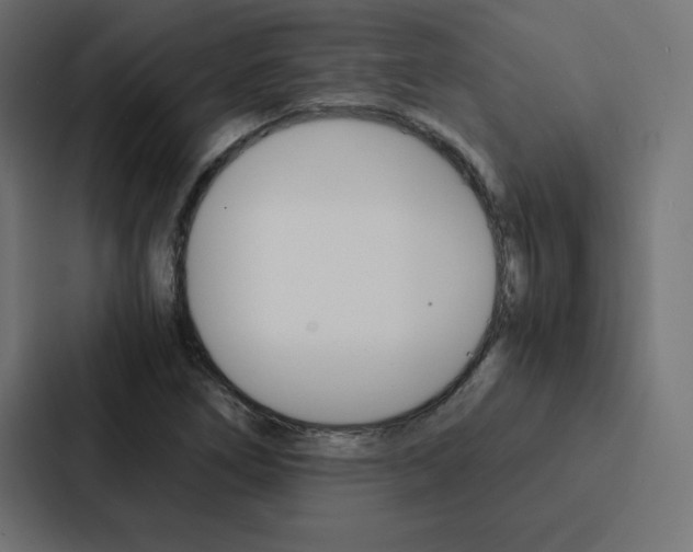 X0000088191266200705150952