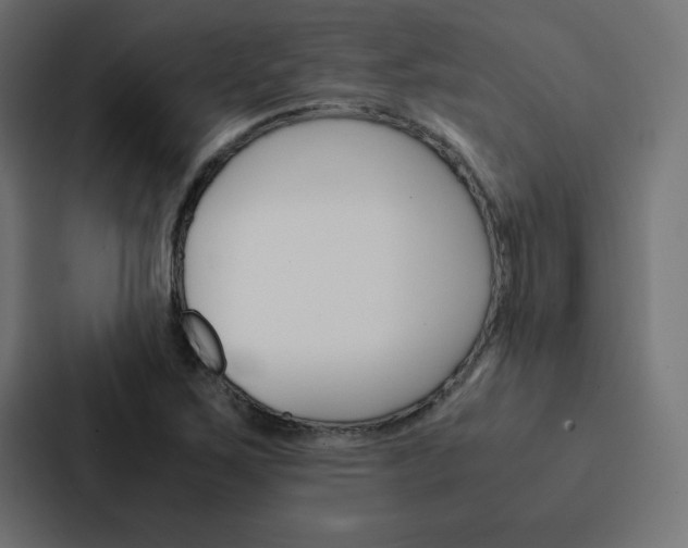 X0000088191267200705150952