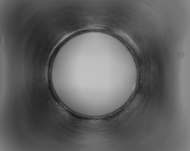 X0000088191268200705150952