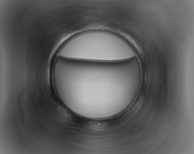 X0000088191270200705150952