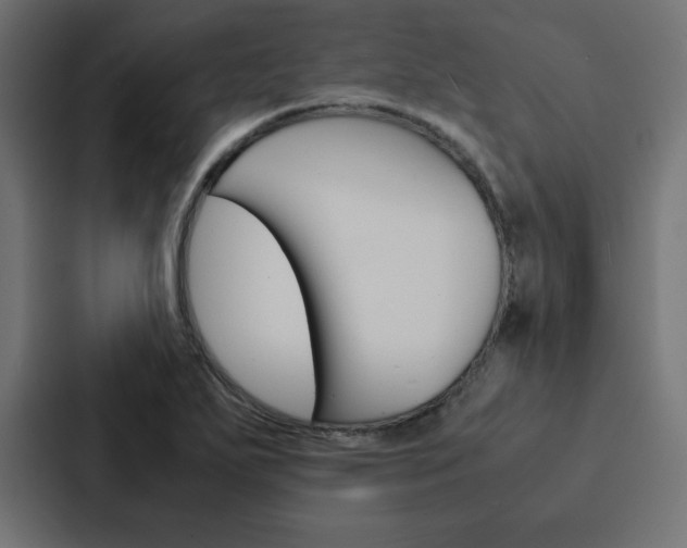 X0000088191271200705150952