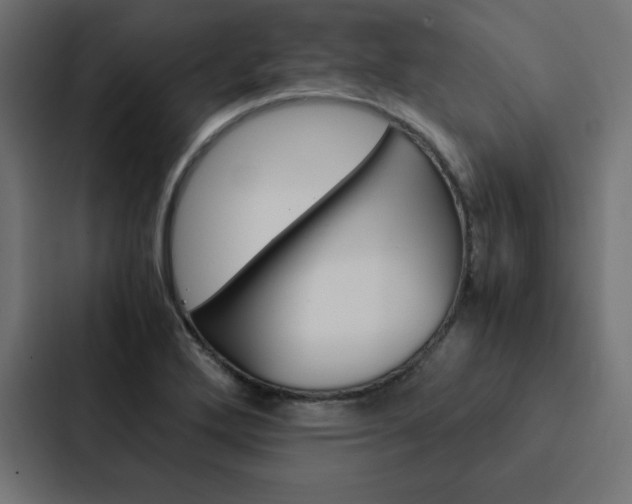 X0000088191272200705150952