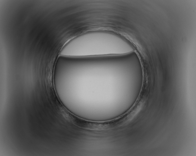X0000088191273200705150952