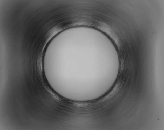 X0000088191274200705150952