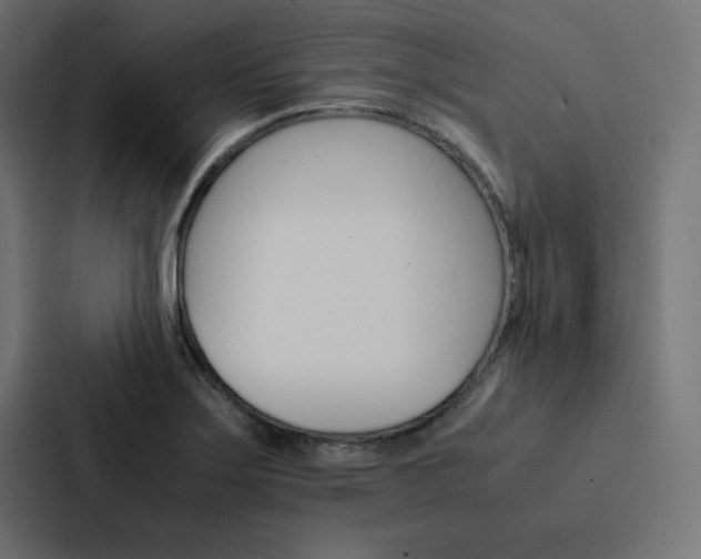X0000088191275200705150952