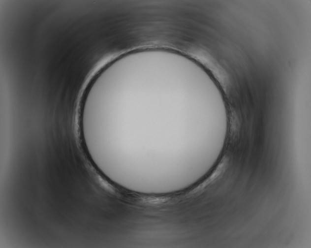 X0000088191278200705150952