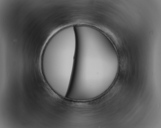 X0000088191280200705150952