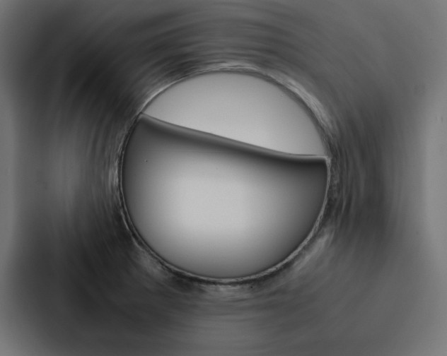 X0000088191281200705150952