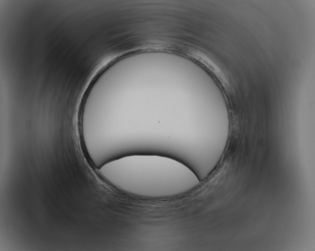 X0000088191283200705150952