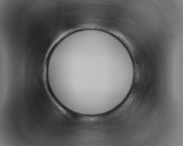 X0000088191286200705150952