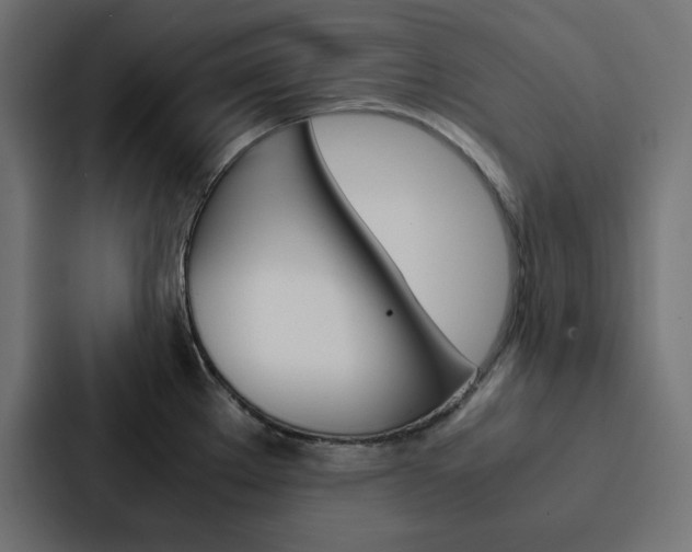 X0000088191289200705150952