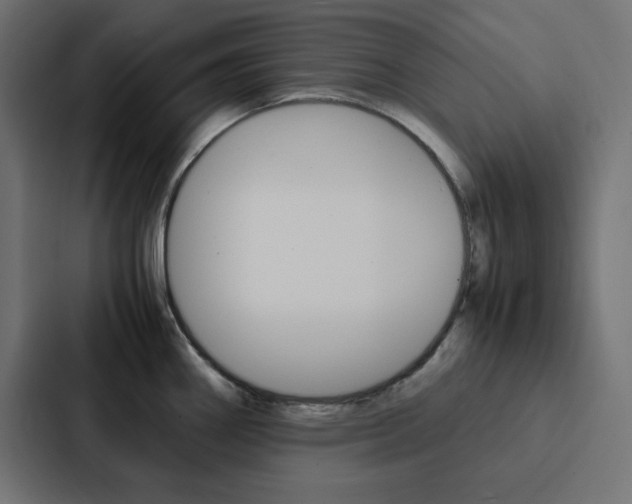 X0000088191290200705150952