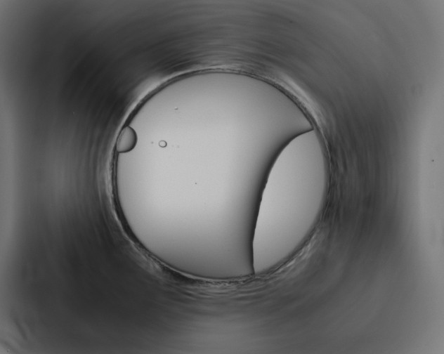 X0000088191291200705150952