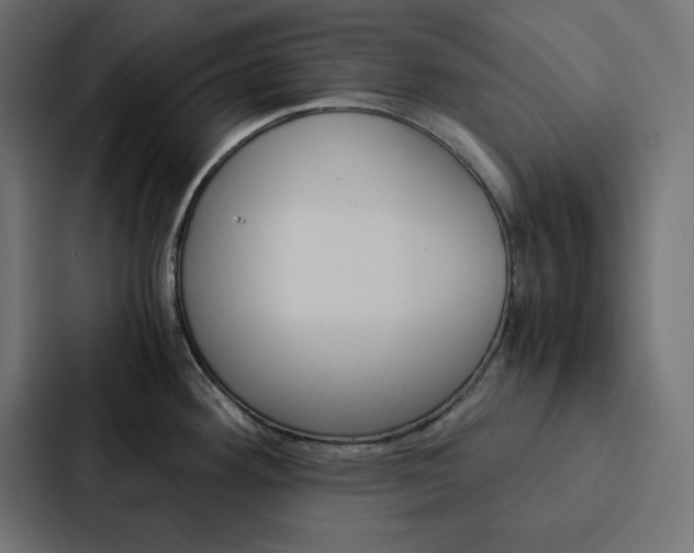 X0000088191292200705150952