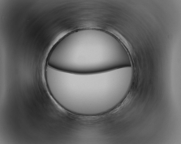 X0000088191293200705150952