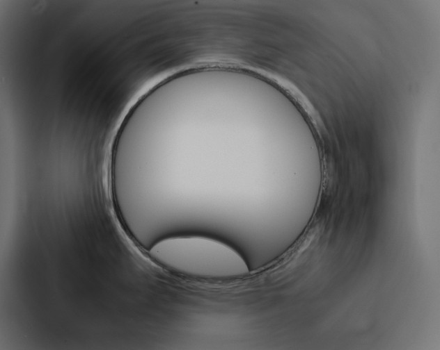 X0000088191295200705150952
