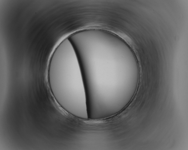 X0000088191296200705150952