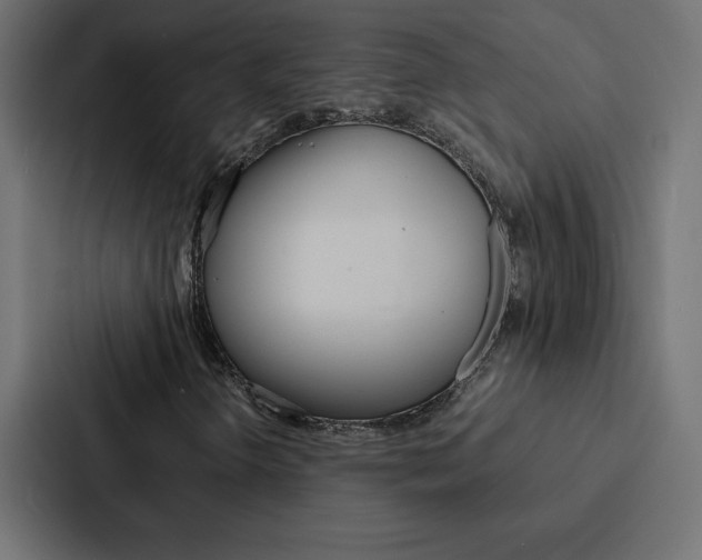 X0000088191298200705150951