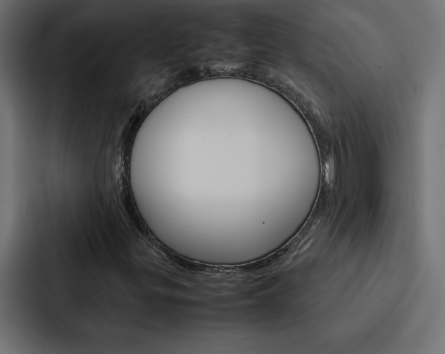 X0000088191299200705150951