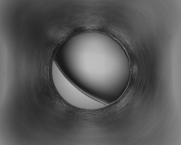 X0000088191300200705150951