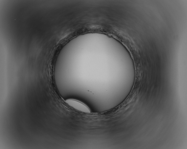 X0000088191301200705150951
