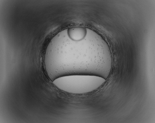 X0000088191302200705150951