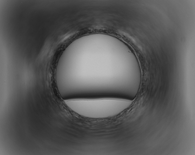 X0000088191303200705150951