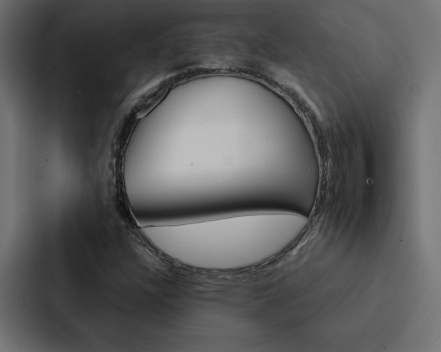 X0000088191304200705150951