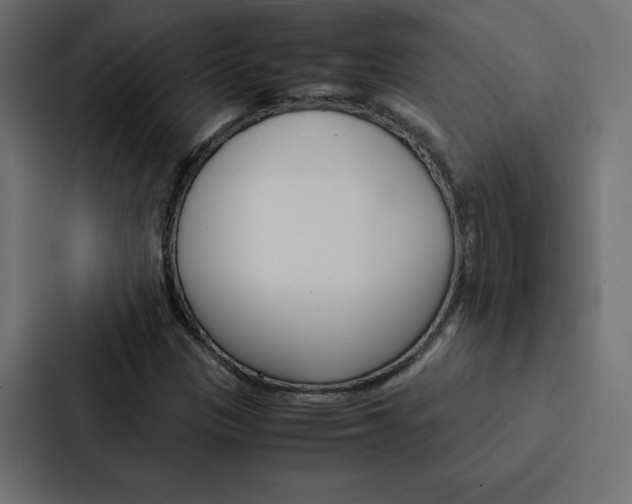 X0000088191305200705150951