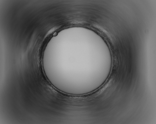 X0000088191306200705150951