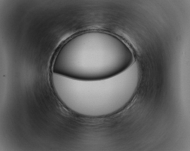 X0000088191308200705150951