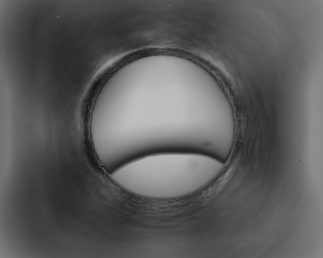 X0000088191311200705150951