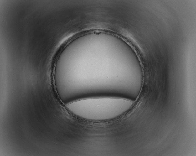 X0000088191312200705150951
