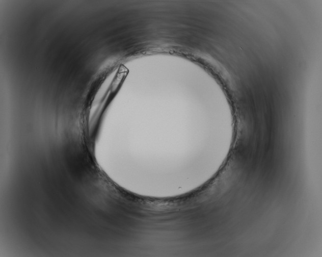 X0000088191314200705150951