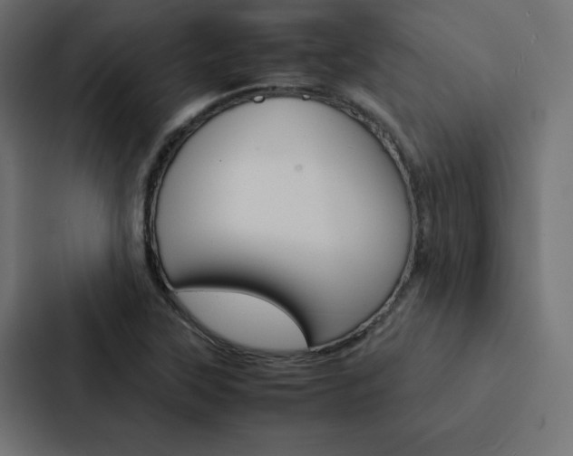 X0000088191315200705150951
