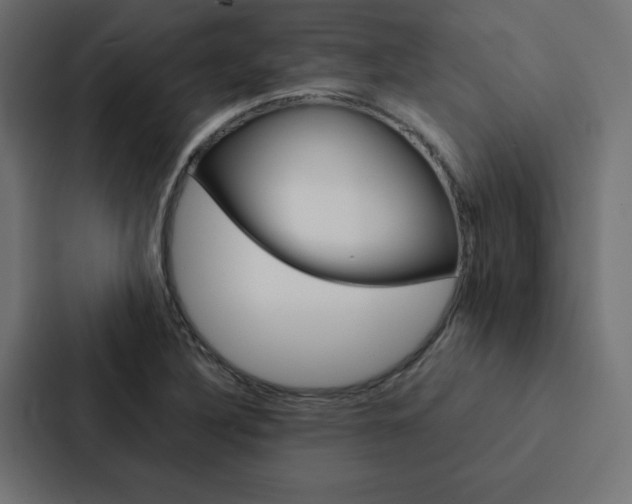 X0000088191316200705150951