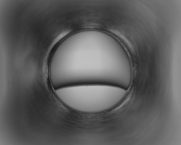 X0000088191317200705150951