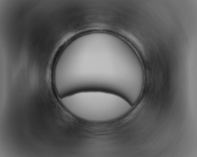 X0000088191318200705150951