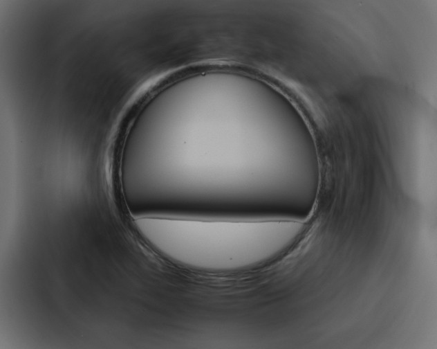 X0000088191319200705150951