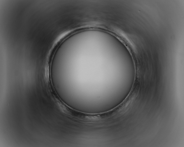 X0000088191320200705150951