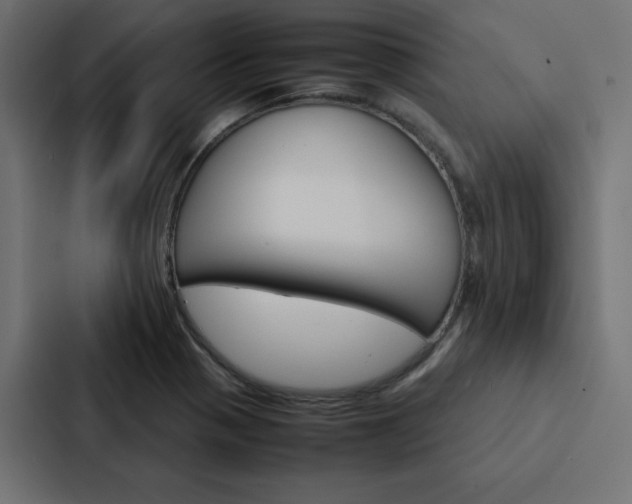 X0000088191321200705150951
