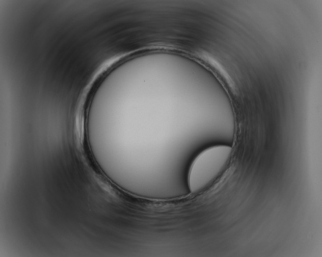 X0000088191323200705150951