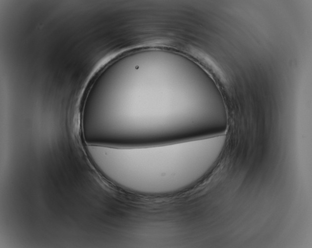 X0000088191324200705150951