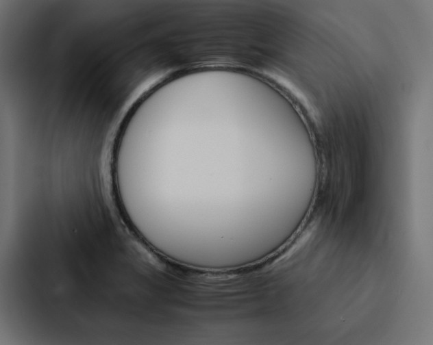 X0000088191325200705150951